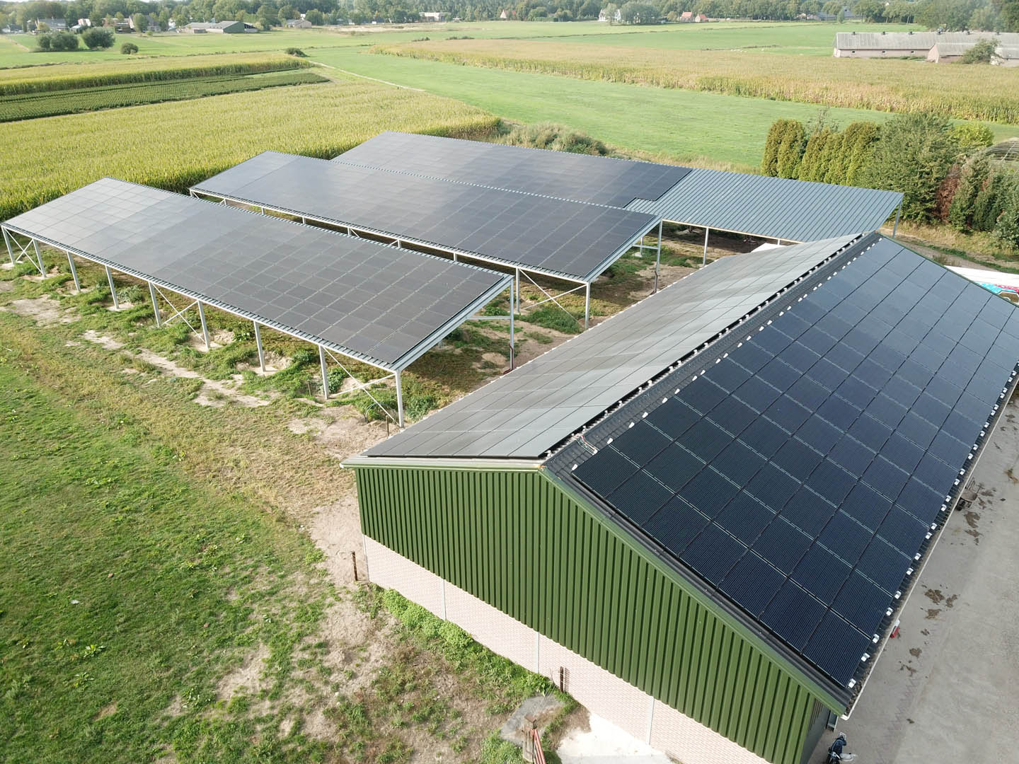 Hoppenbrouwers Techniek verzorgde zonnepanelen in de wei bij de Ruijsbossche Hoeve
